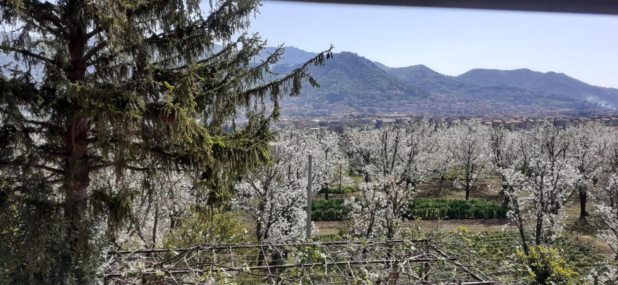 Lanovella Cava deʼ Tirreni Exterior foto